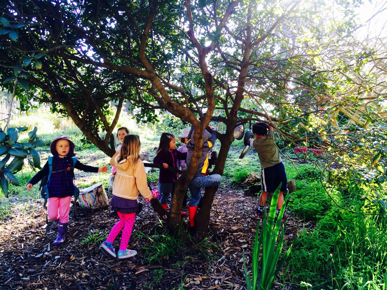 Children exploring under the trees on a garden walk